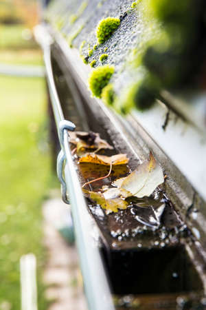 Rainwater Gutter Cleaning
