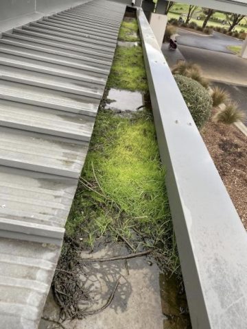 Commercial Cleaning